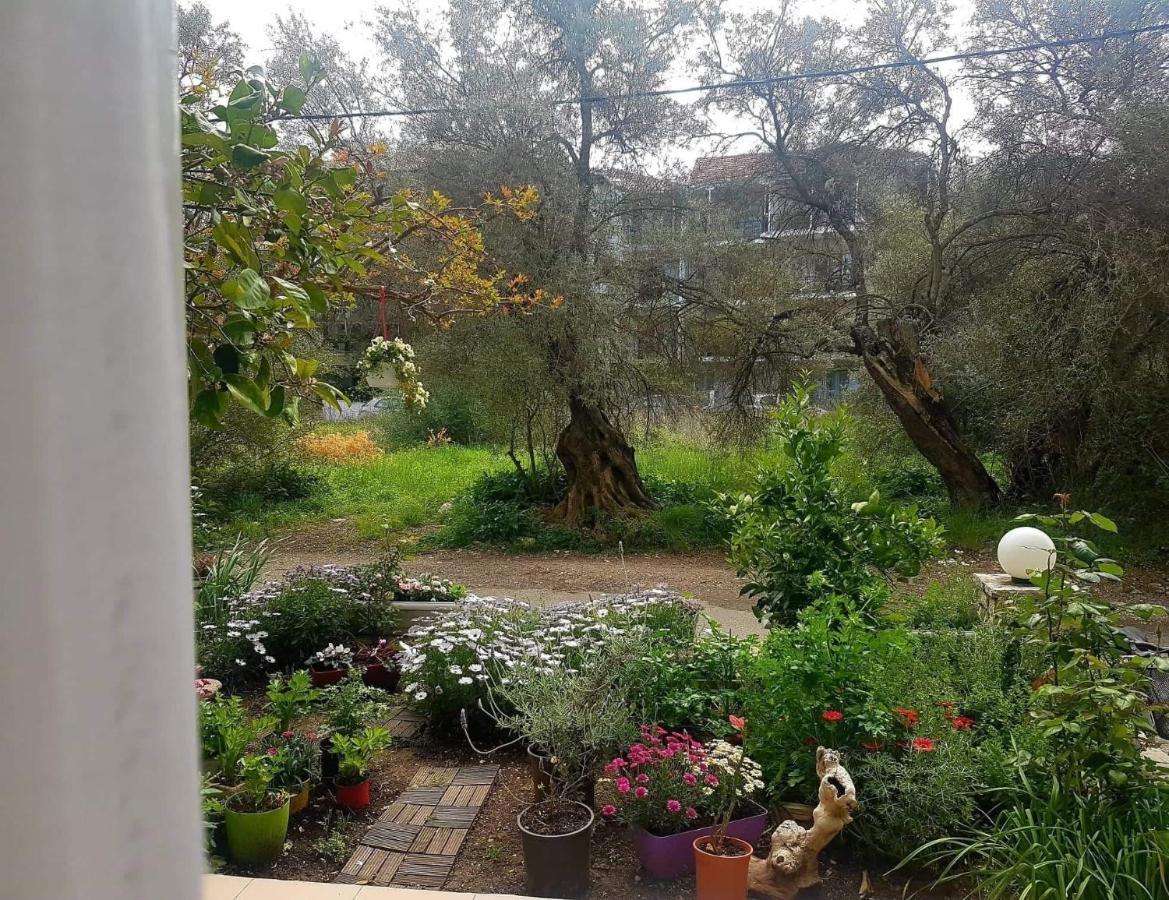 Efi'S Studio Lefkada City Bagian luar foto