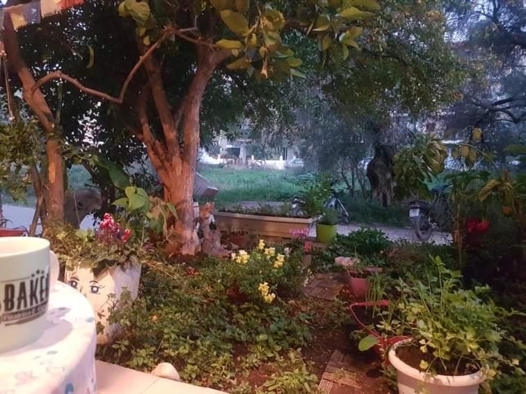 Efi'S Studio Lefkada City Bagian luar foto