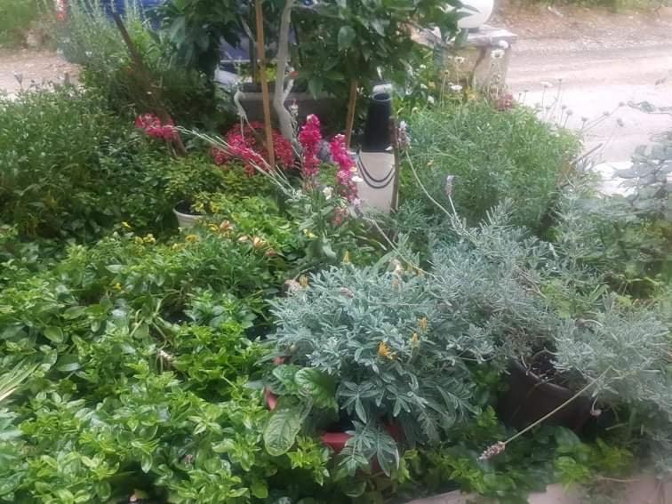 Efi'S Studio Lefkada City Bagian luar foto