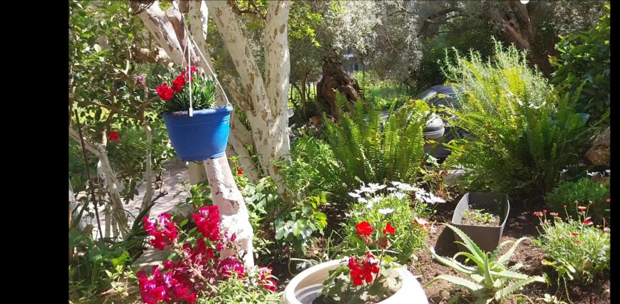 Efi'S Studio Lefkada City Bagian luar foto