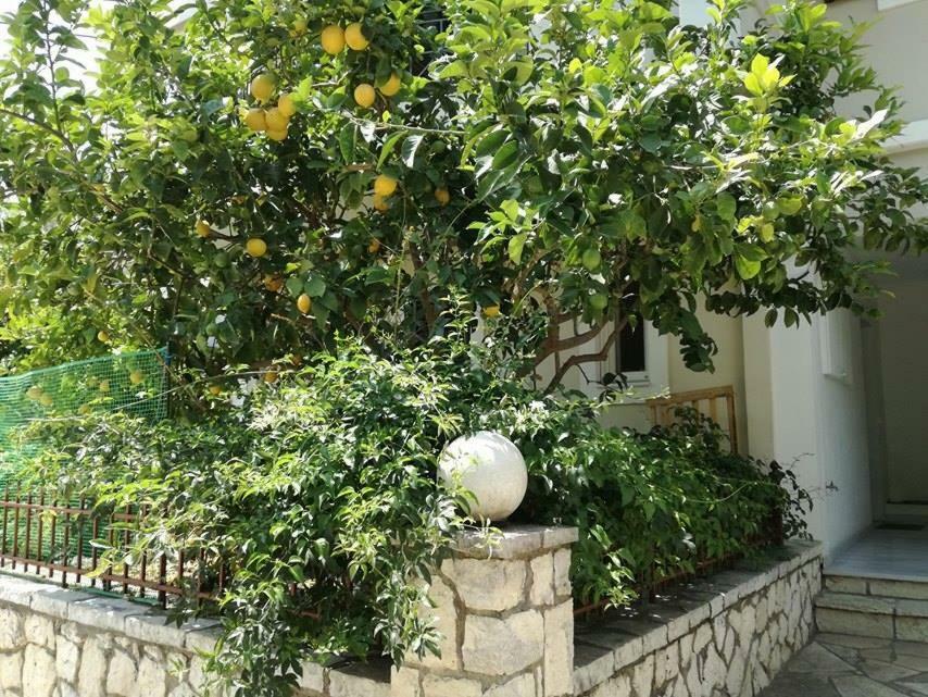 Efi'S Studio Lefkada City Bagian luar foto