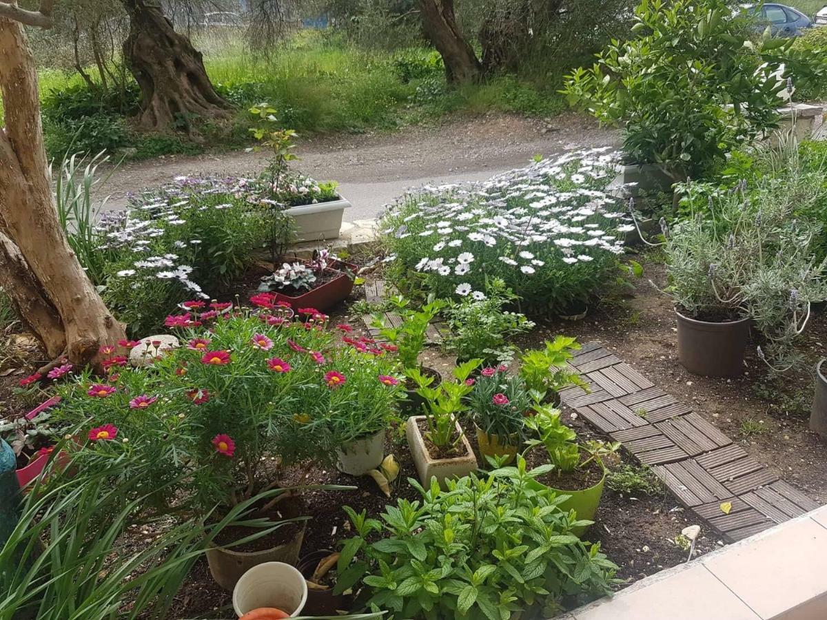 Efi'S Studio Lefkada City Bagian luar foto